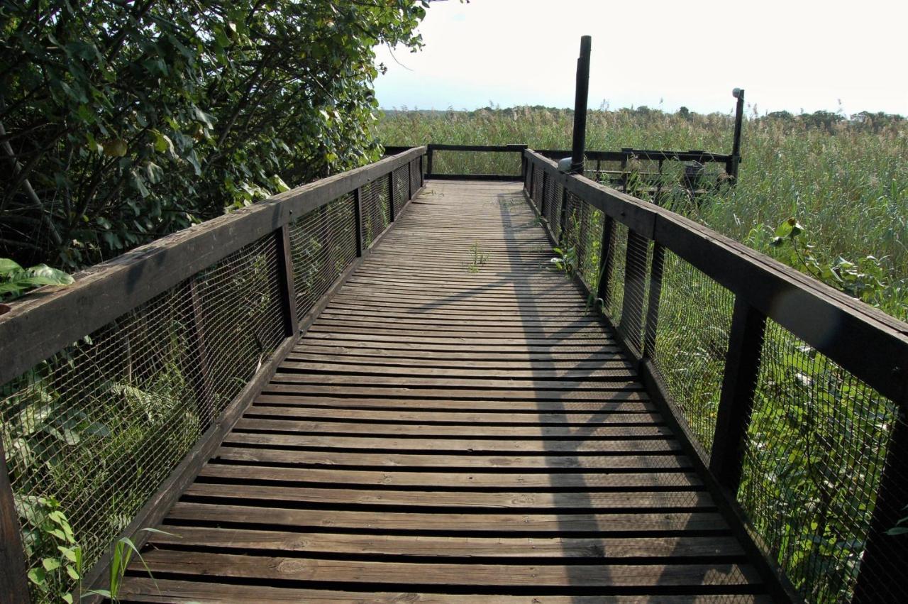 28 And 29 The Bridge Lägenhet Saint Lucia Estuary Exteriör bild